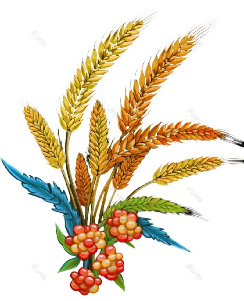 芒种图片,元素元素,卡通PNG,插画免抠素材